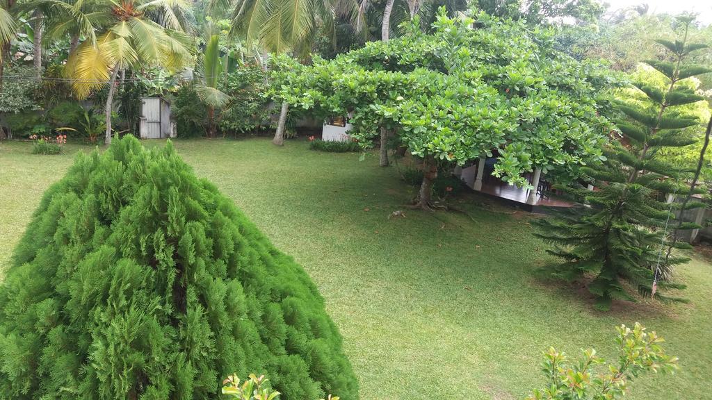 4 Seasons Guesthouse Hikkaduwa Exterior foto