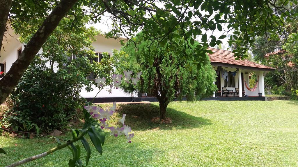 4 Seasons Guesthouse Hikkaduwa Exterior foto